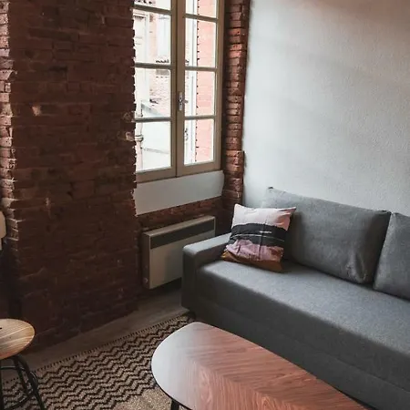 Charming Studio Ideally Located In The St Cyprien District Apartment